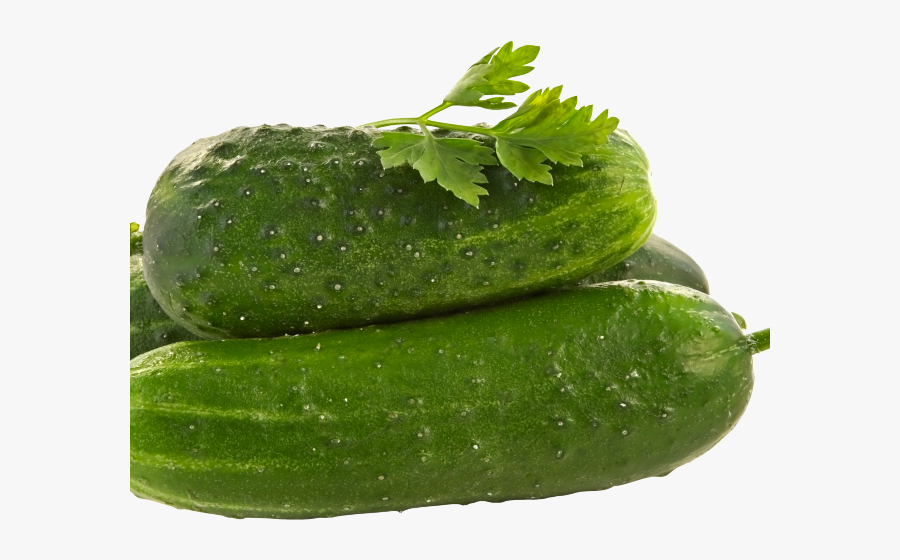 Cucumber Png Transparent Images - Cucumber, Transparent Clipart