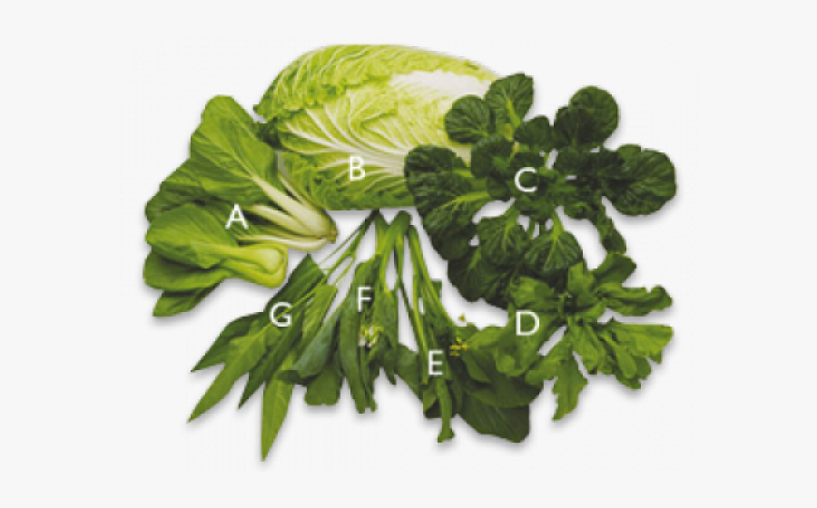 Cucumber Clipart Leafy Vegetable - Parsley, Transparent Clipart