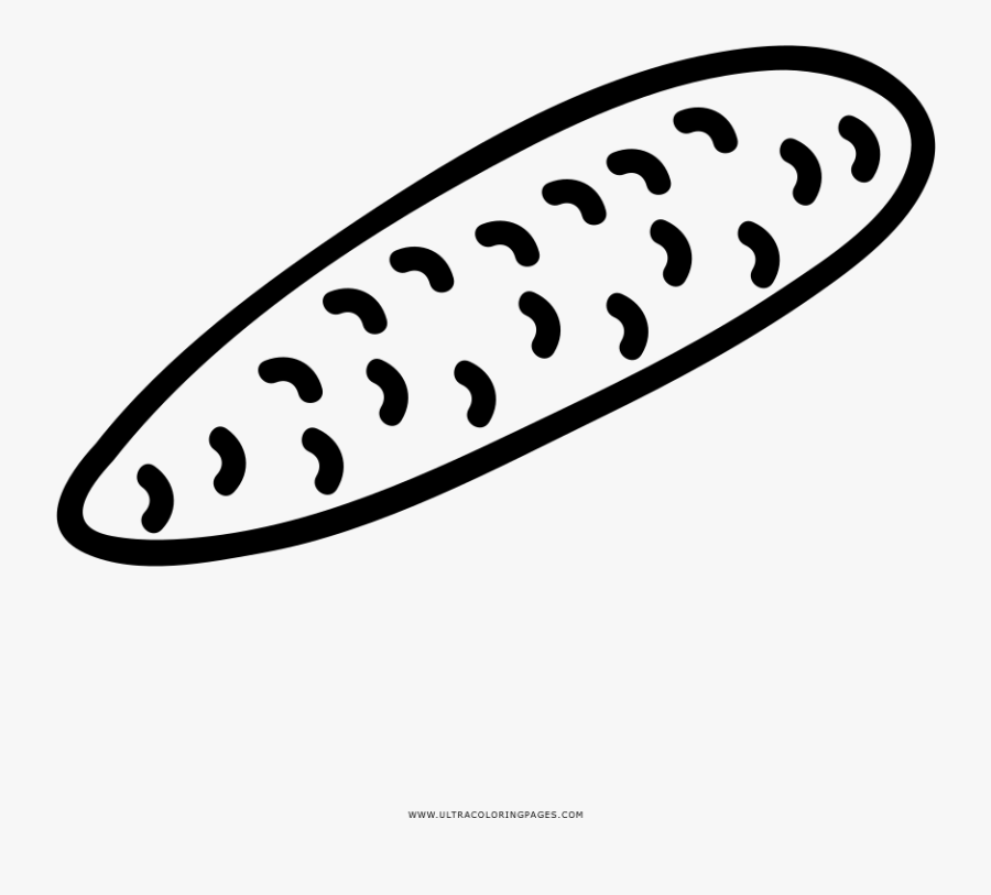 Cucumber Coloring Page - Line Art, Transparent Clipart