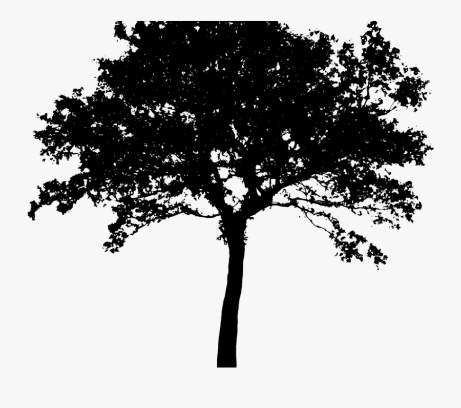 Wood Cruz Lawn Care And Landscaping Garden Art Free - Silhouette Tree Png Vector, Transparent Clipart