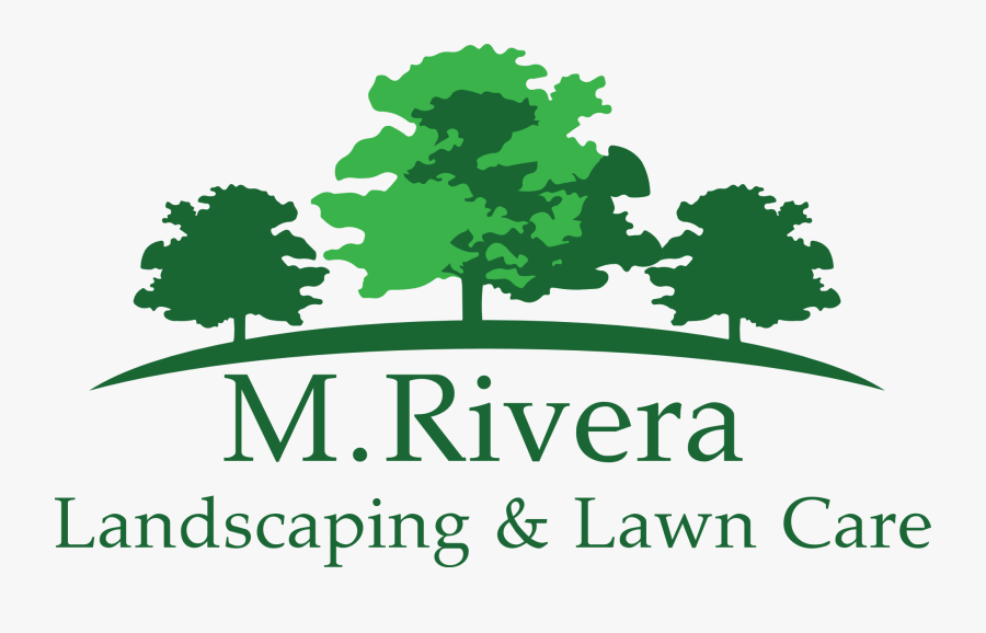 Ferrars Junior School, Transparent Clipart