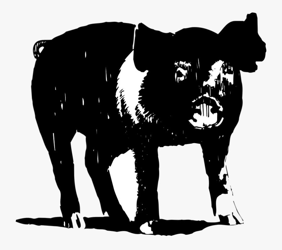 Black, White, Barn, Pig, Animal, Hooves - Black And White Hog Clipart, Transparent Clipart