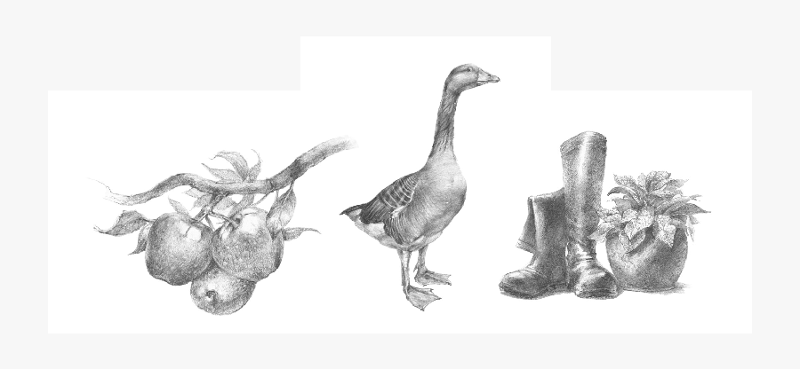 The Stunning Logos Of Black Barn Farm - Sketch, Transparent Clipart