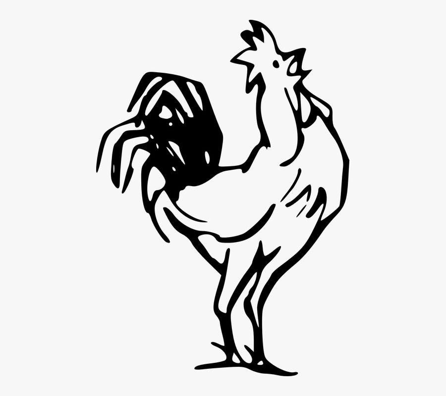 Rooster, Farm, Barn, Animal, Crowing, Poultry - Clipart Of Rooster Drawing, Transparent Clipart