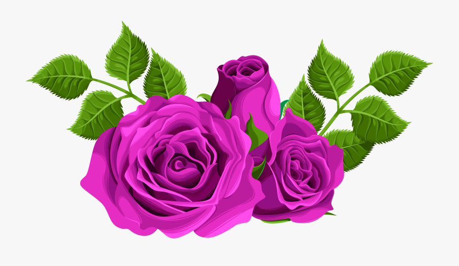 Clip Black And White Download Decorative Png Clip Art - Purple Rose Flower Png, Transparent Clipart