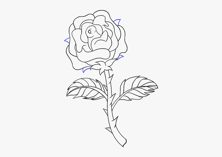 How To Draw Rose With A Stem - Draw A Rose Stem, Transparent Clipart