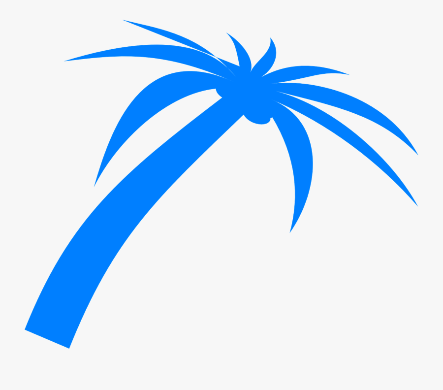 Palm, Tree, Fronds, Tropical, Nature, Beach, Plant - Blue Palm Trees Png, Transparent Clipart