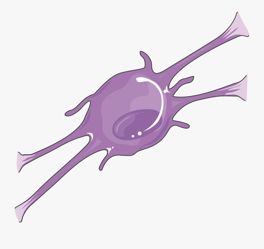 Oligodendrocyte - Oligodendrocytes Cute Clip Art, Transparent Clipart