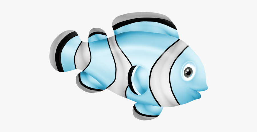 Pomacentridae, Transparent Clipart