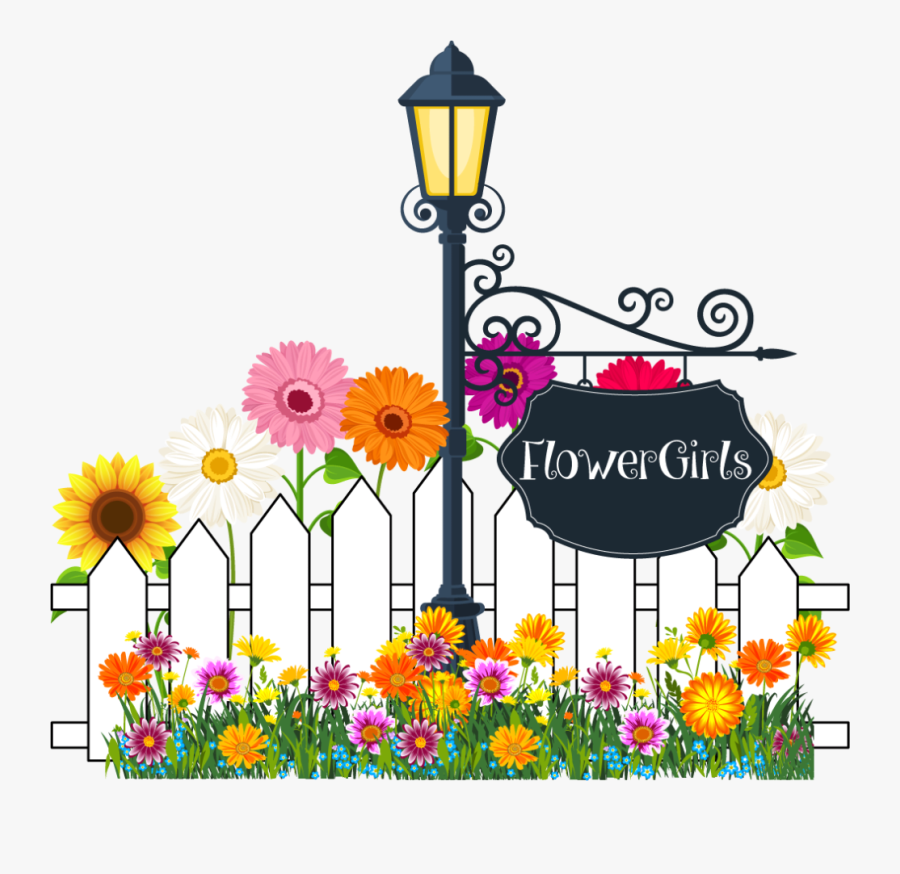 Tulsa, Ok Florist - African Daisy, Transparent Clipart