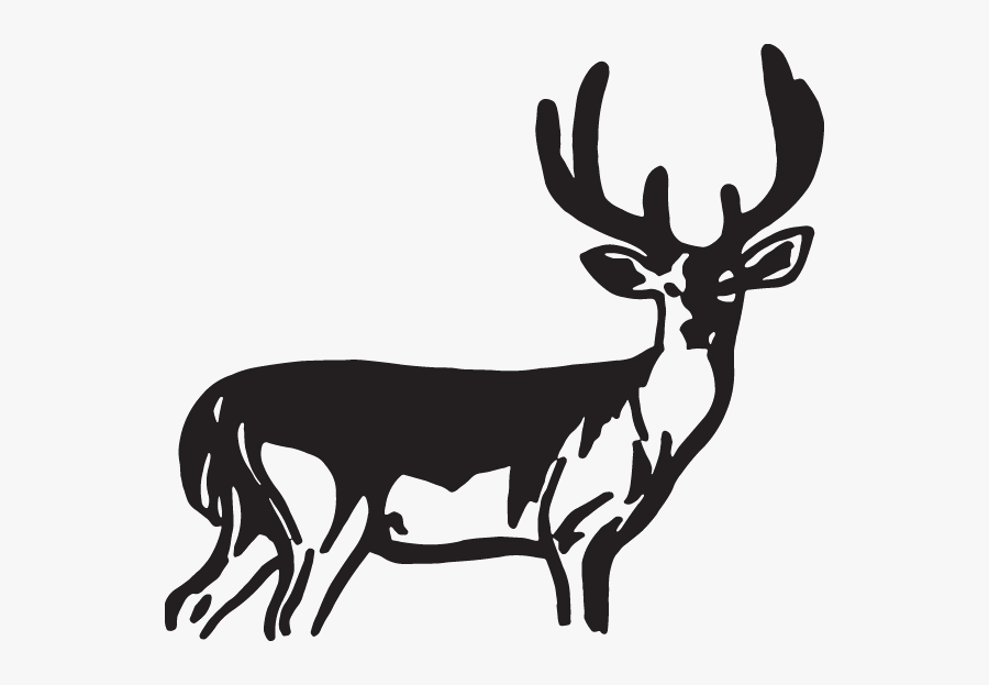 Decal, Transparent Clipart