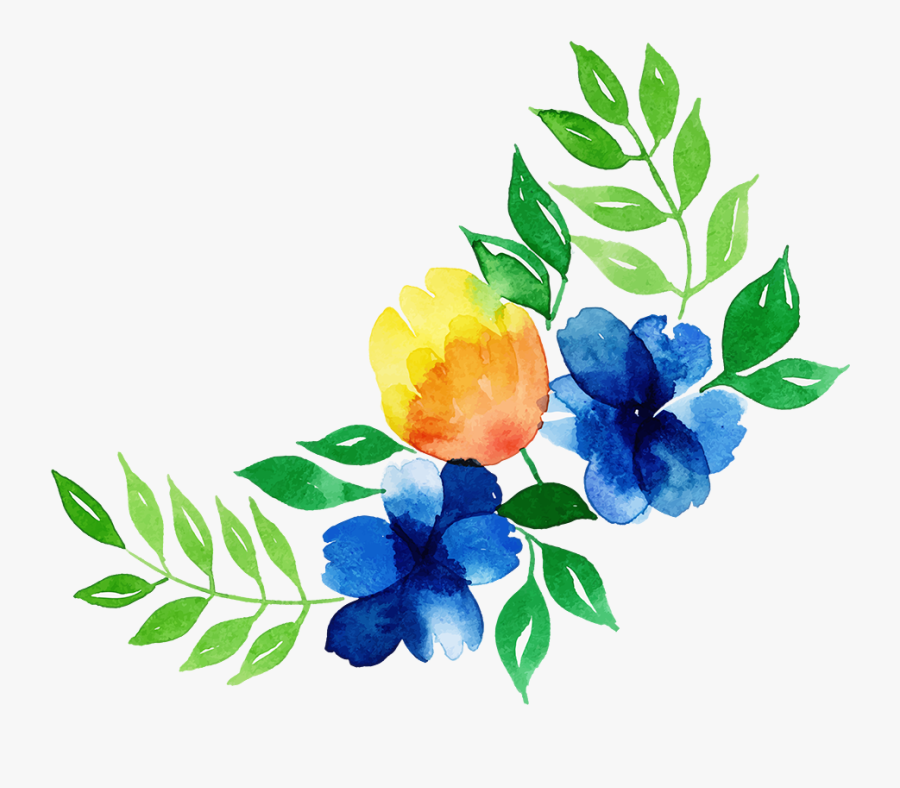 Rosa Glauca, Transparent Clipart