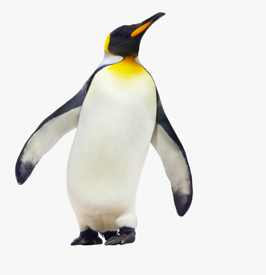 Penguinone Molecule, Transparent Clipart