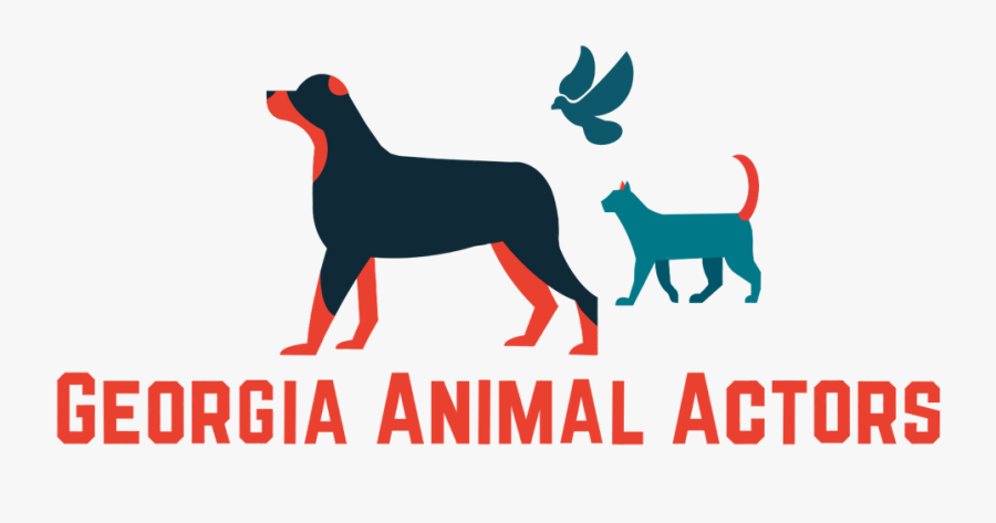 Picture - Dog Catches Something, Transparent Clipart