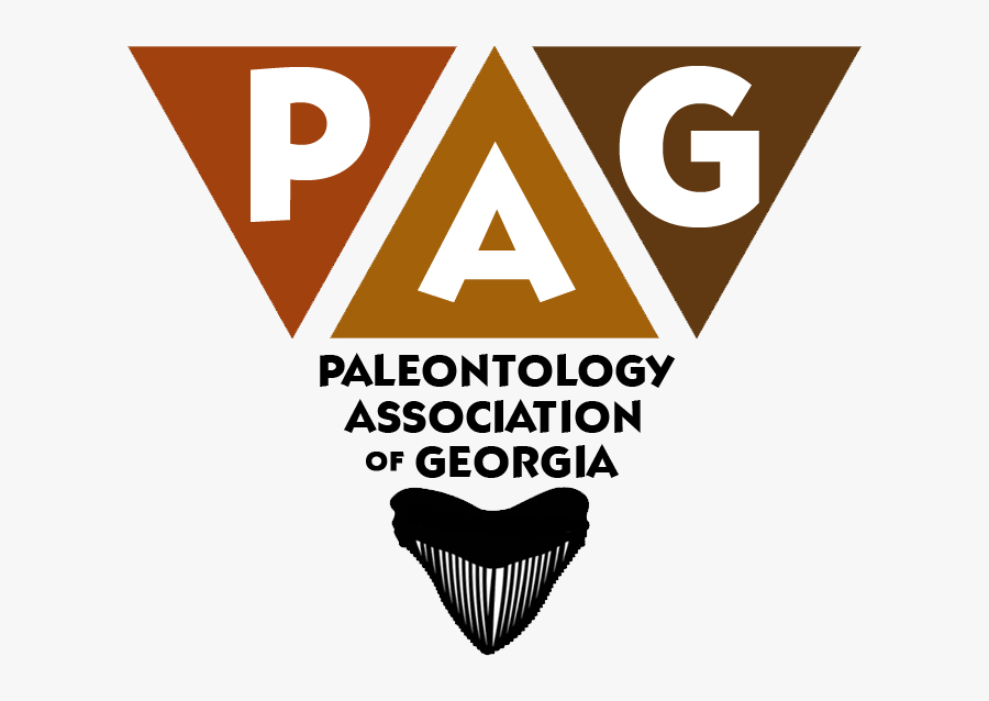 Picture - University Of Arizona, Transparent Clipart