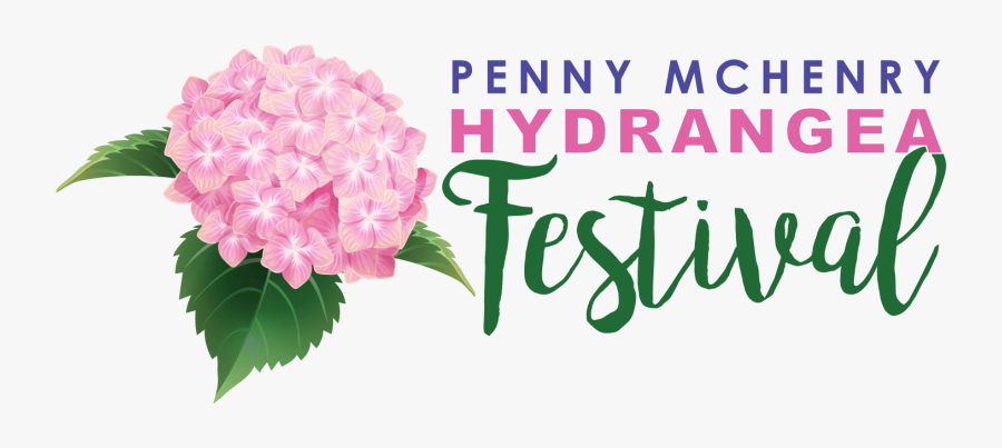 The Penny Mchenry Hydrangea Festival - Hydrangea Serrata, Transparent Clipart