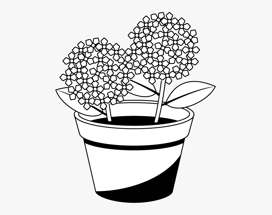 Hydrangea Clip Art - Clip Art, Transparent Clipart