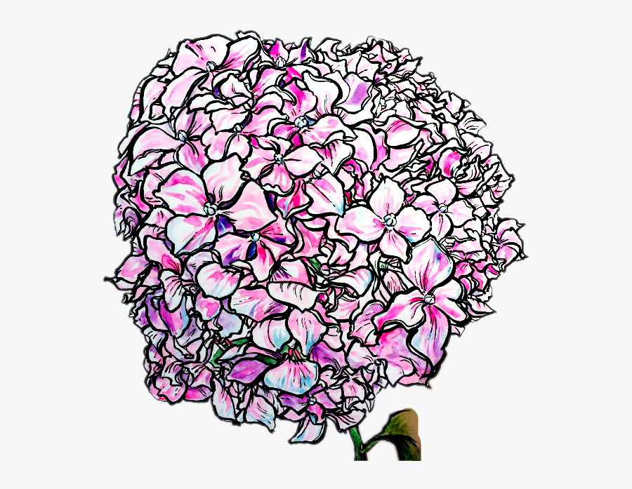 #hydrangea #pink #flower #drawing, Transparent Clipart