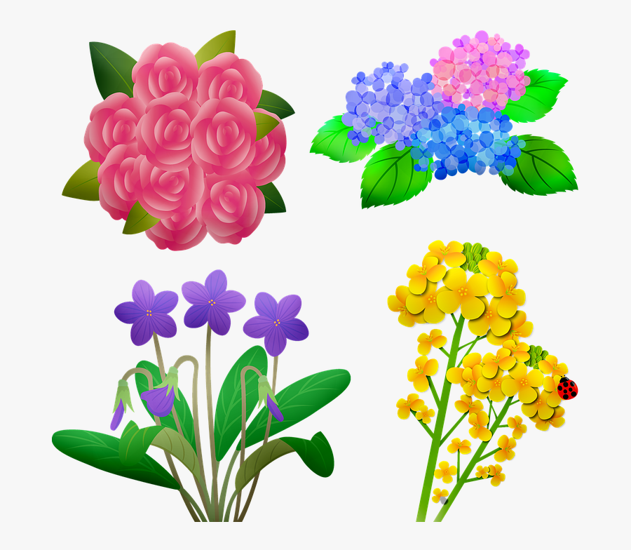 Flowers For Mom, Yellow, Hydrangea, Rose, Flower - 4 月 花 イラスト 無料, Transparent Clipart