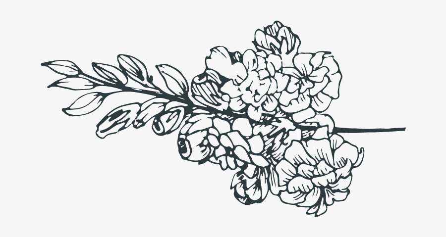 The Hydrangea Room At Scargo Manor Bed & Breakfast - Chrysanths, Transparent Clipart