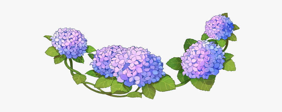 #flower #overlays #sticker #like4like #follow4follow - Hydrangea Anime, Transparent Clipart