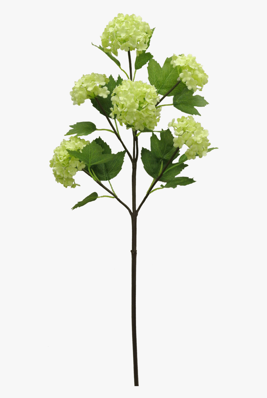 25 - Artificial Flower, Transparent Clipart