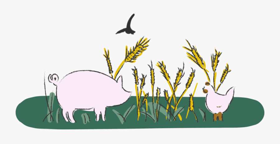 Clip Art, Transparent Clipart