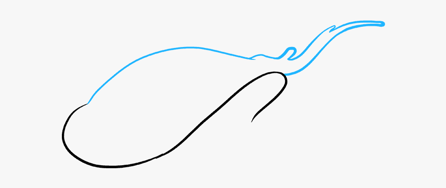 How To Draw Stingray - Line Art, Transparent Clipart
