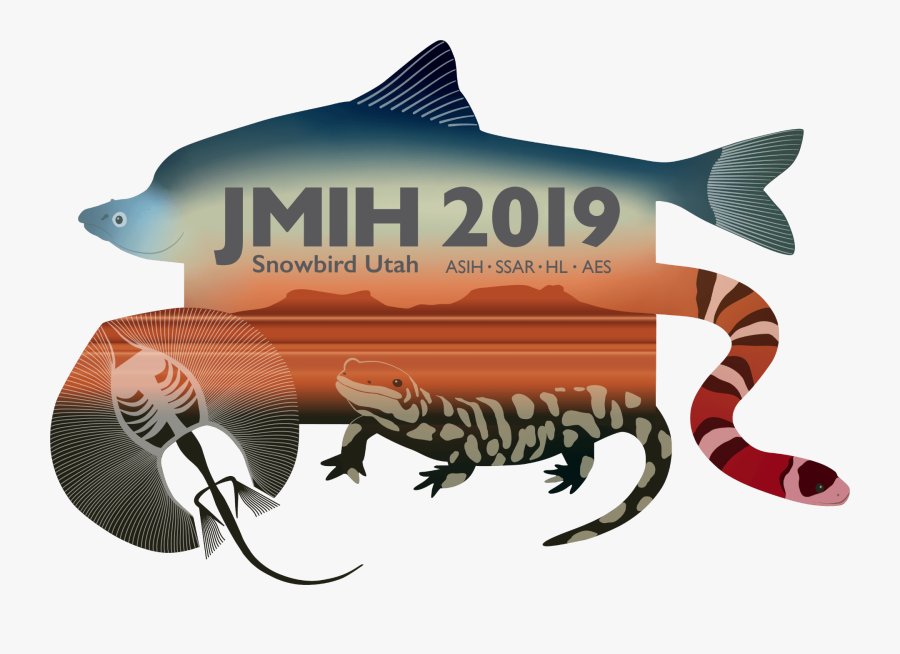 Jmih 2019, Transparent Clipart