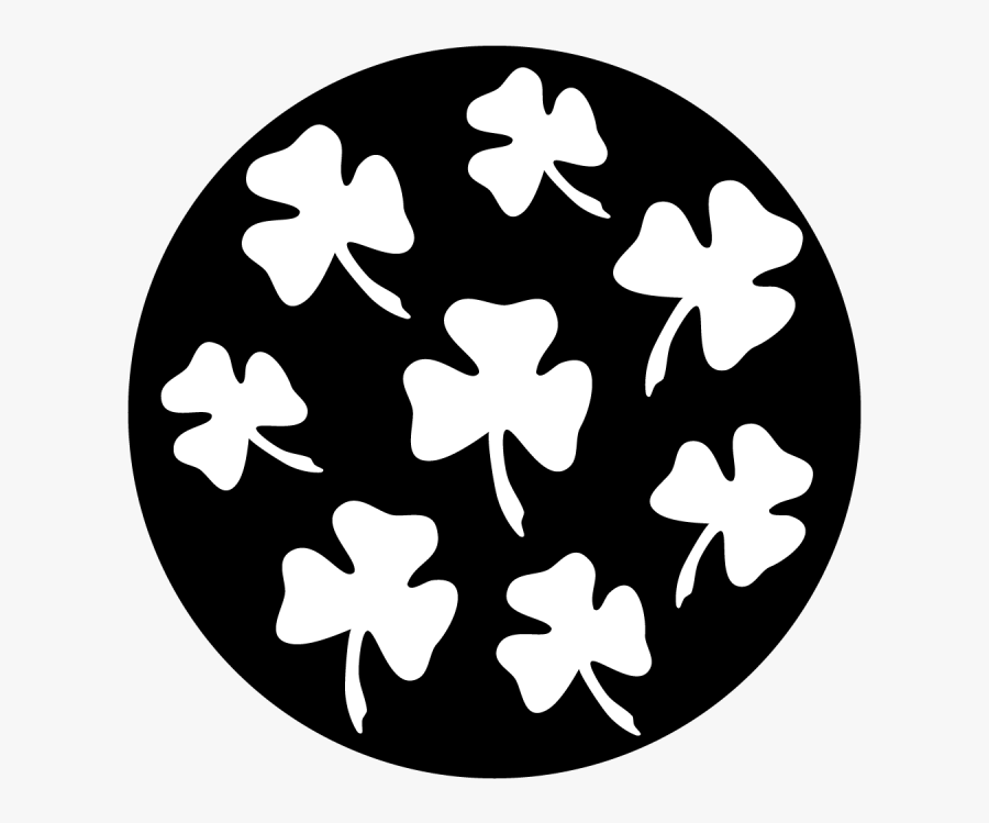 Kit De Distribucion Mazda B2600, Transparent Clipart