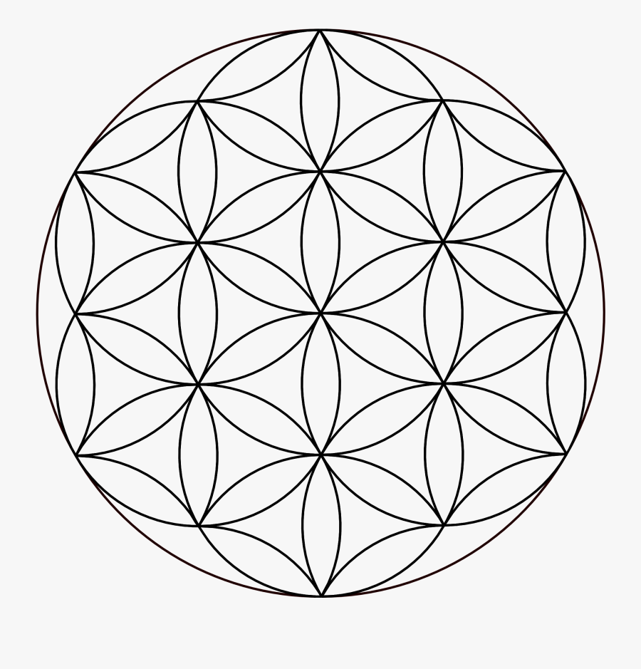 Flower Of Life Simple, Transparent Clipart