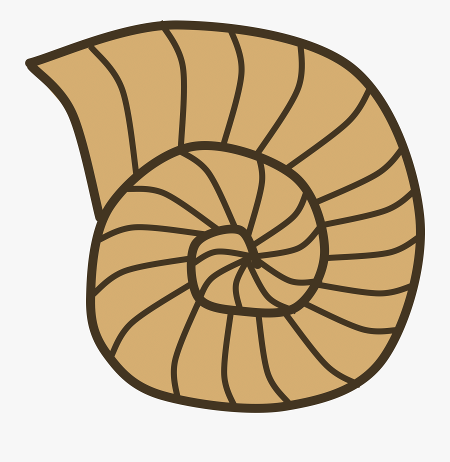 Clipart Shell - Brown Snail Shell Clipart, Transparent Clipart