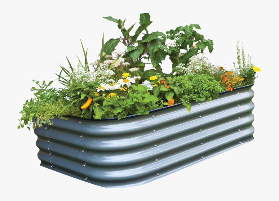 Birdies Modular Raised Garden Bed Prefect For A New - Birdies Raised Garden Beds, Transparent Clipart