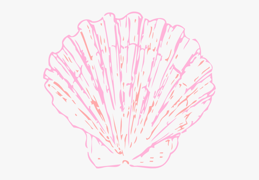 Pink Seashell Clip Art, Transparent Clipart
