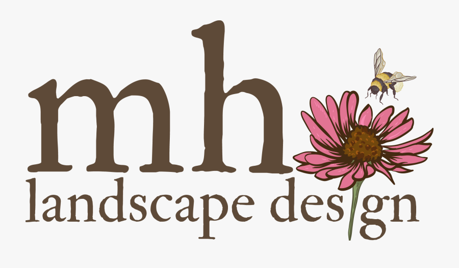 Coolthing Logo - Black-eyed Susan, Transparent Clipart