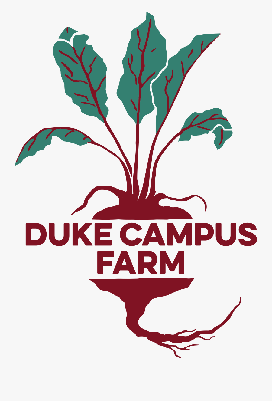Duke Campus Farm - Chard, Transparent Clipart