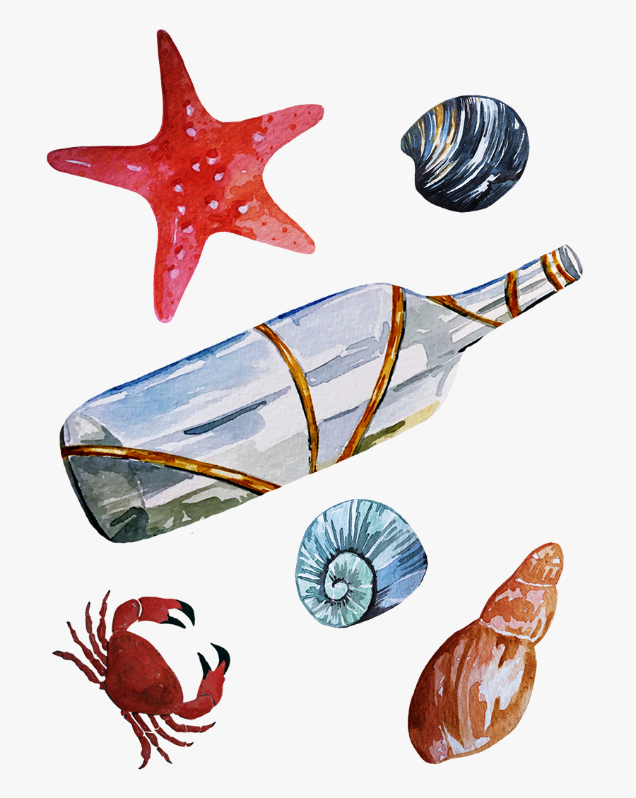 Clip Art Seashells Illustrations - Starfish, Transparent Clipart