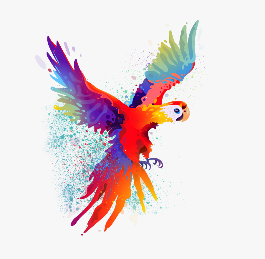 Sketches App Parrot, Transparent Clipart
