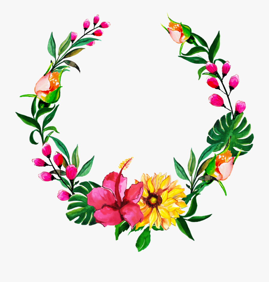 Common Peony, Transparent Clipart