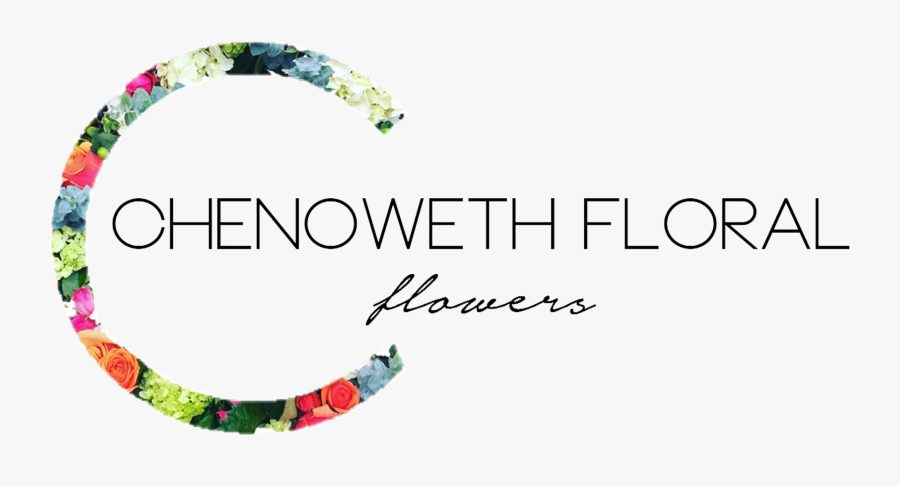 Chenoweth Floral & Greenhouses - Christmas Tree, Transparent Clipart