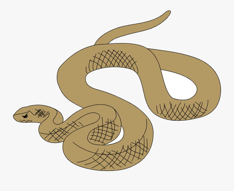 Transparent Snake Clipart Black And White - Cartoon Brown Tree Snake, Transparent Clipart