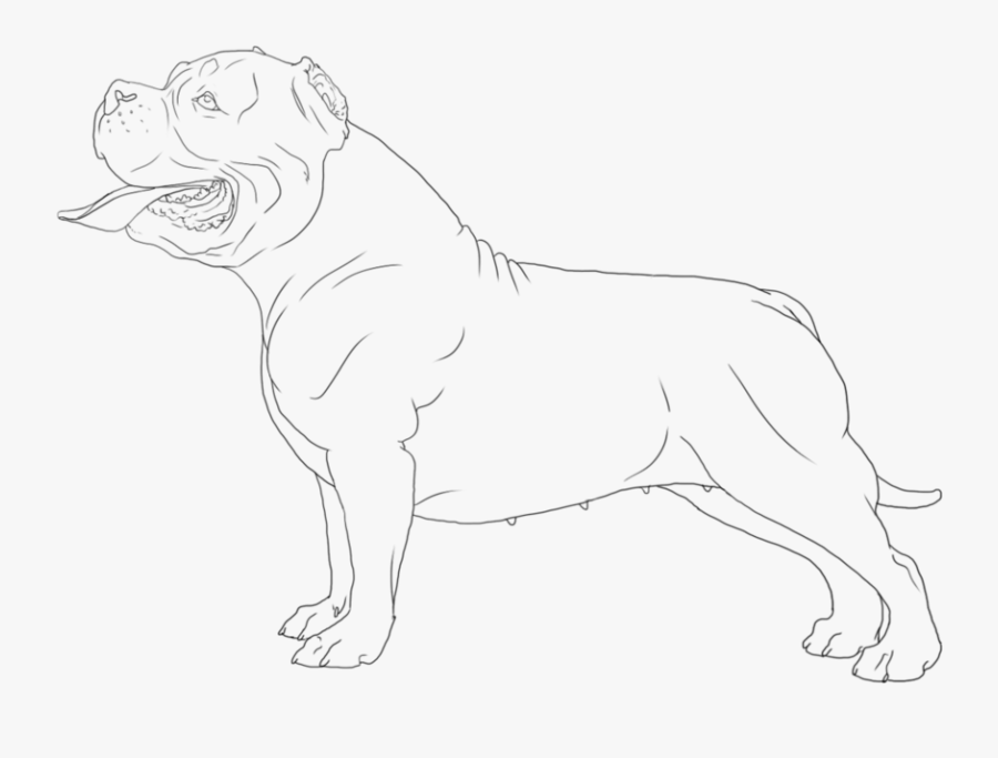 Lineart Of A Bully - Line Art, Transparent Clipart