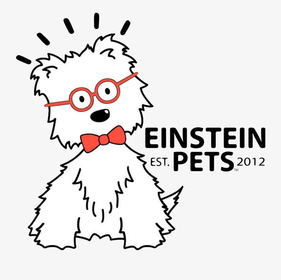 Einstein Pets Sweet Potato Dog Treat - Einstein Pets Logo, Transparent Clipart