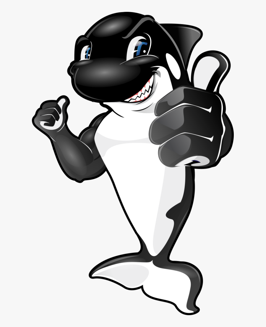 Killer Whale - Cartoon, Transparent Clipart