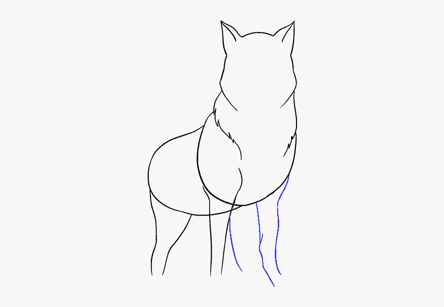 How To Draw Wolf - Sketch, Transparent Clipart