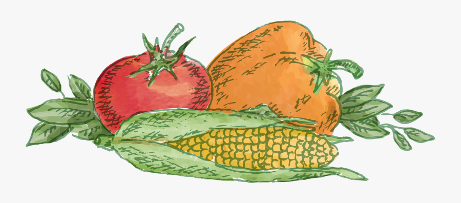 Gourd, Transparent Clipart