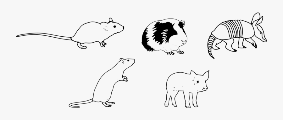 Animals Black2, Transparent Clipart