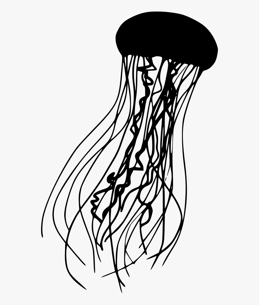 Clip Art Png Icon Free Download - Jellyfish Black And White Png, Transparent Clipart