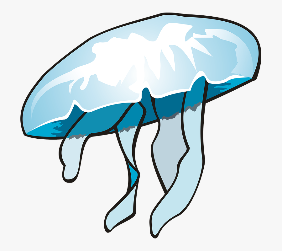 Portable Network Graphics, Transparent Clipart