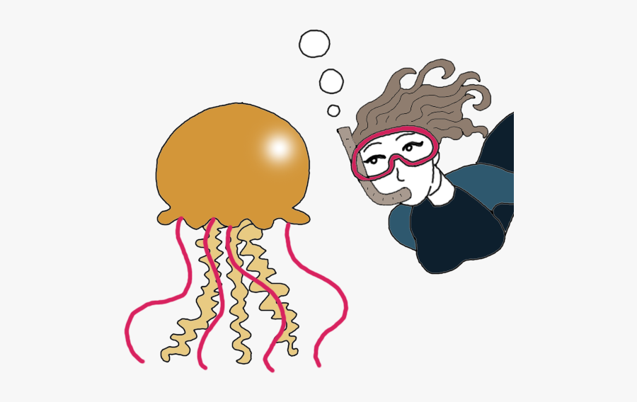Jellyfish - Illustration, Transparent Clipart